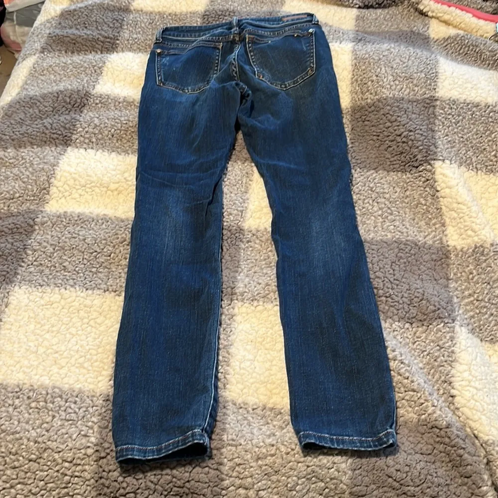 Anthropologie Pilcro and The Letterpress Women’s Stet Skinny jeans size … - Image 12