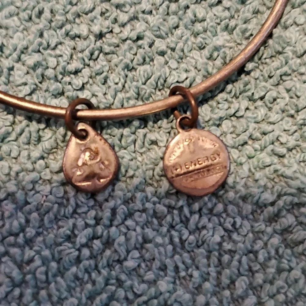 Alex & Ani Bangle Bracelet - Image 3