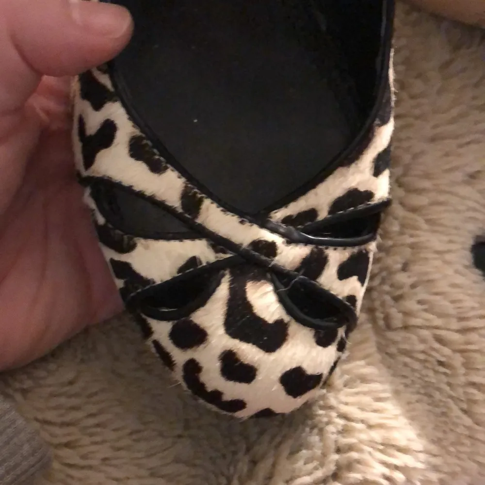 WHBM Dalmatian Print Heels - Image 5