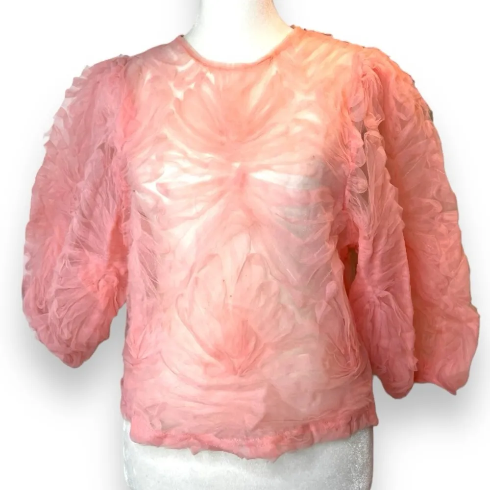 Zara Pink Tulle Puff Sleeve Sheer Top medium - Image 4