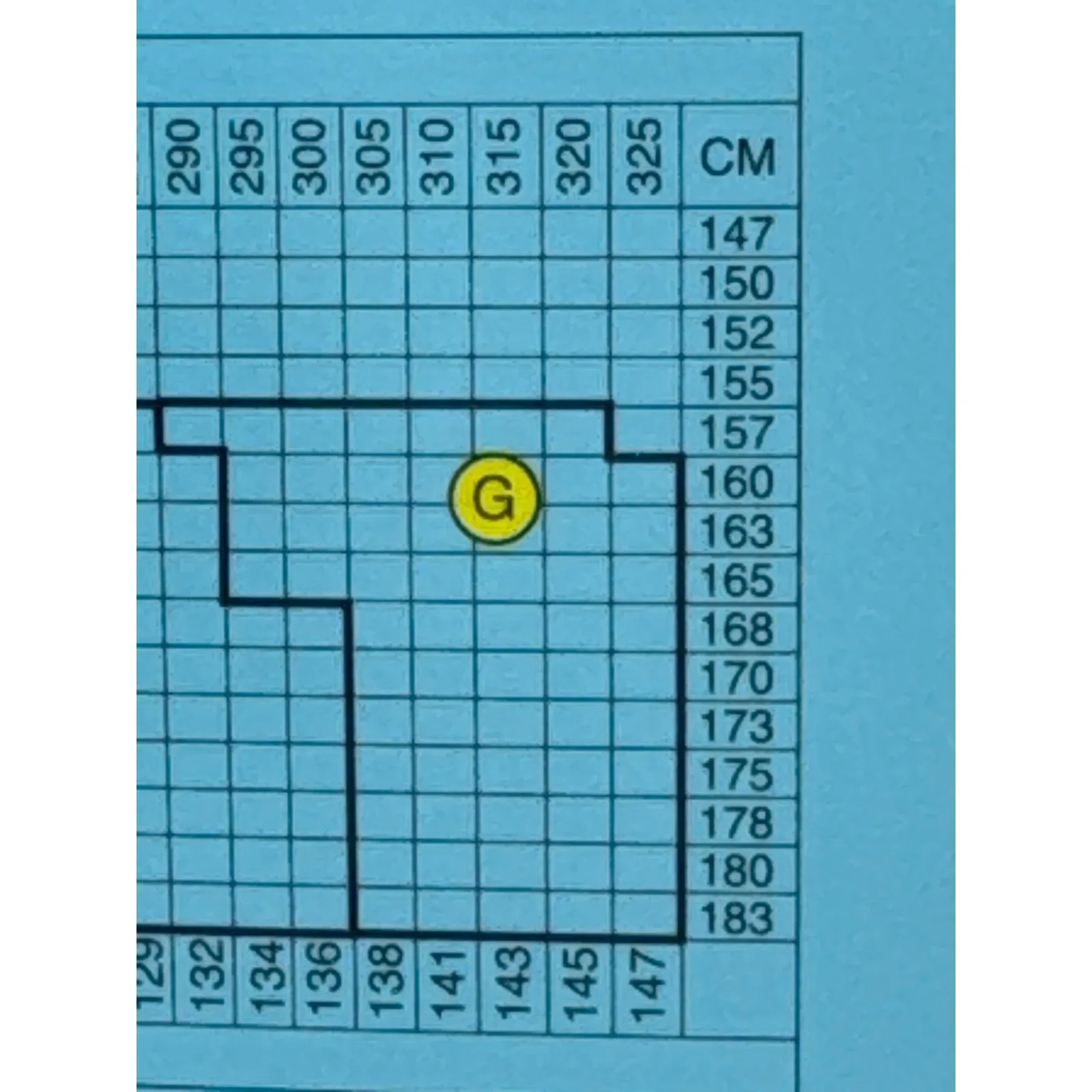 SPANX Power Panties Shapewear Tummy Thigh Slimming Bare Size G (290-325lbs) New - Image 8