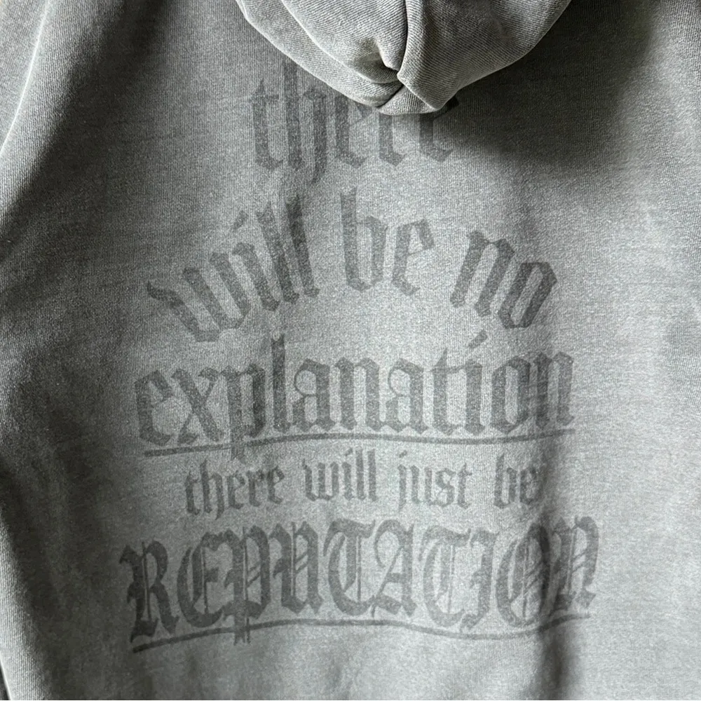 Taylor Swift Reputation Hoodie sweatshirt snakes no explanation merch eras - Image 6
