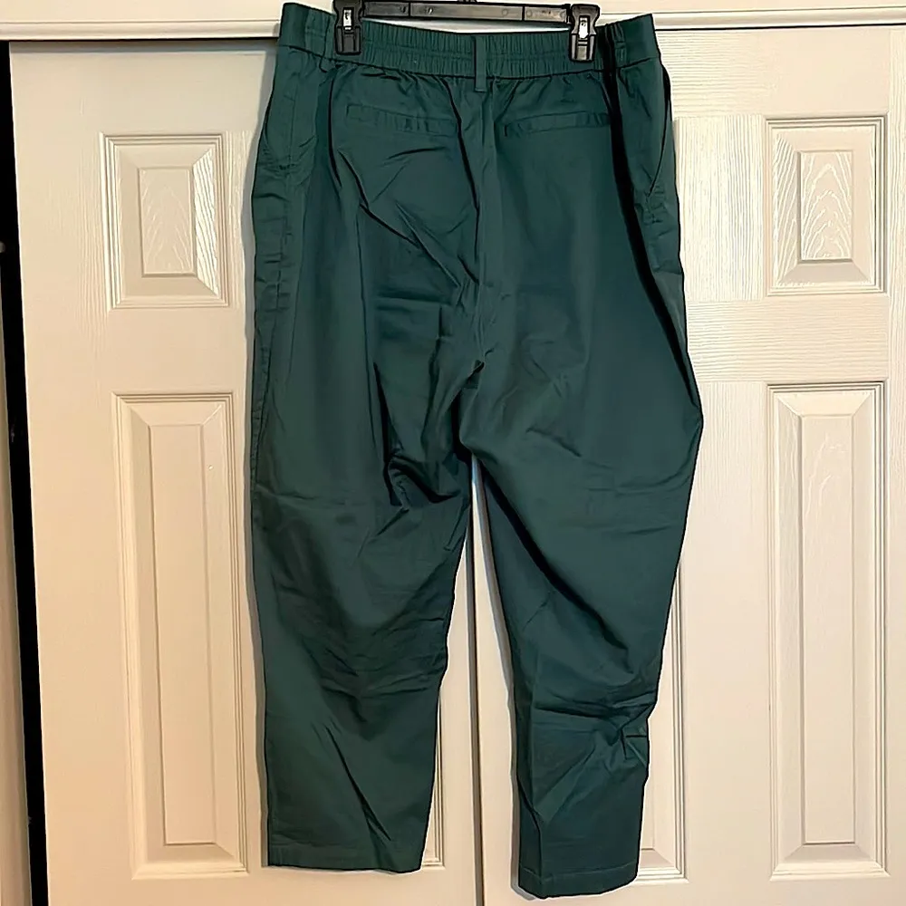 Ankle Pants - Women’s Size XXL - Image 2