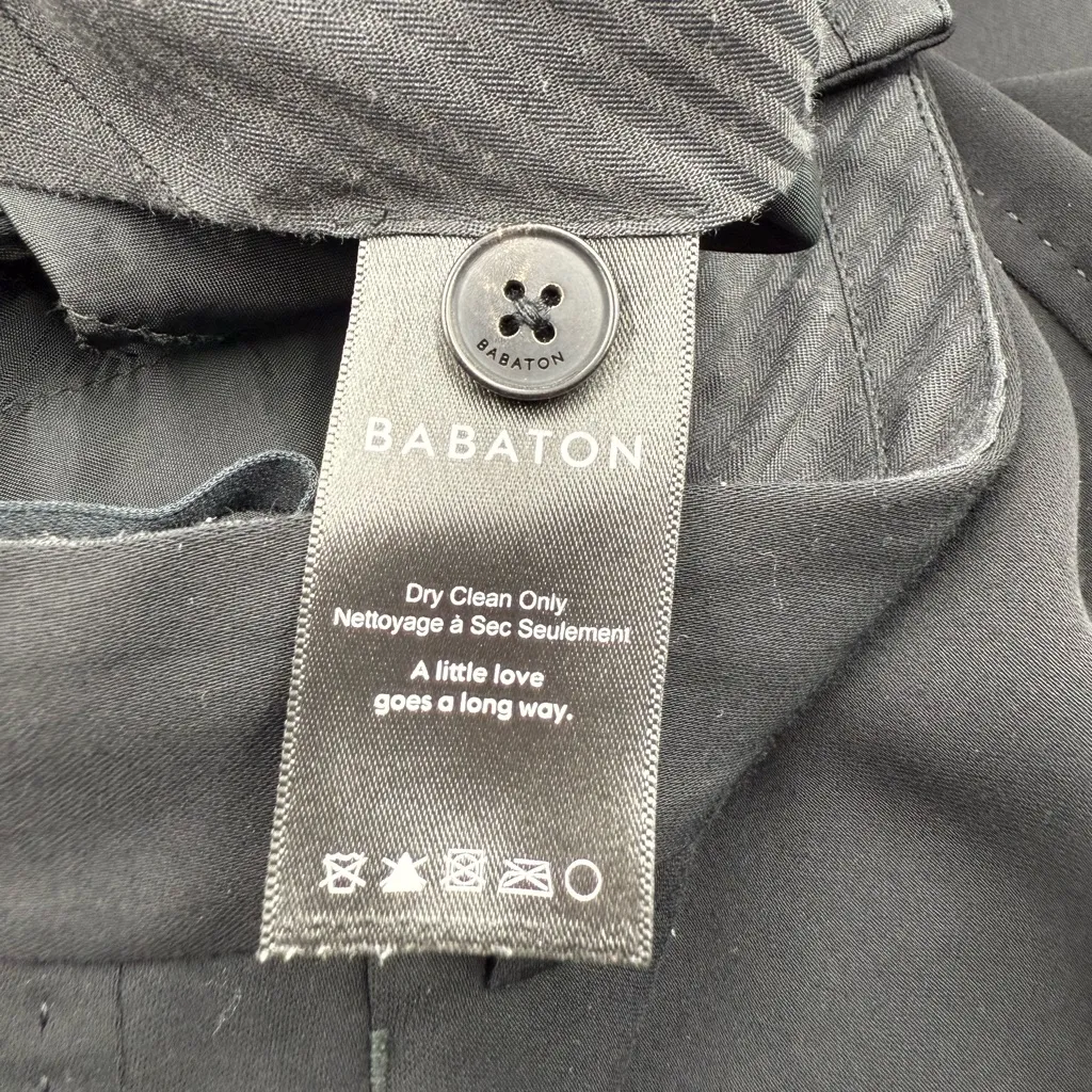 Aritzia Babaton Dress Pants - Image 14