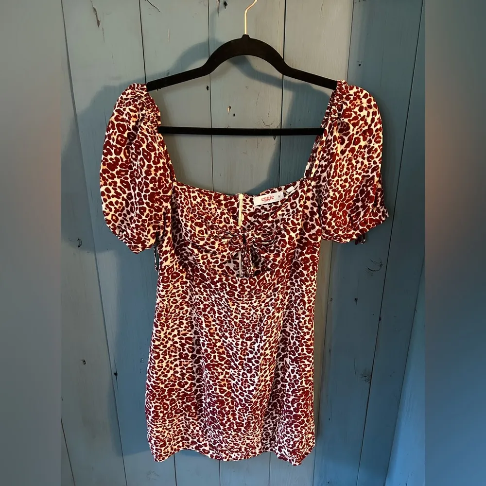 Urban Outfitters Eggie Red Leopard Print Victoria Mini Dress | Women’s Sz Medium - Image 4