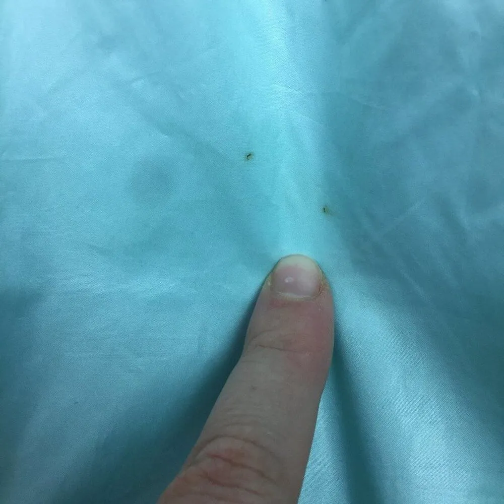 LAYERS Bright Blue Windbreaker Jacket Size M Size M - Image 6