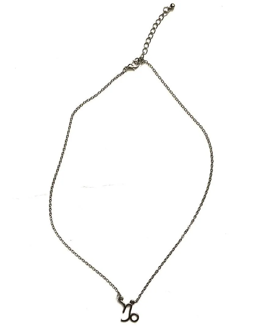 Capricorn Horoscope Sign Charm Pendant Necklace Silver - Image 2