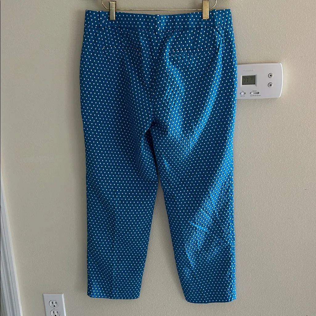 J. Crew Vtg café Capri blue polkadot straight leg trouser pants 6 - Image 5