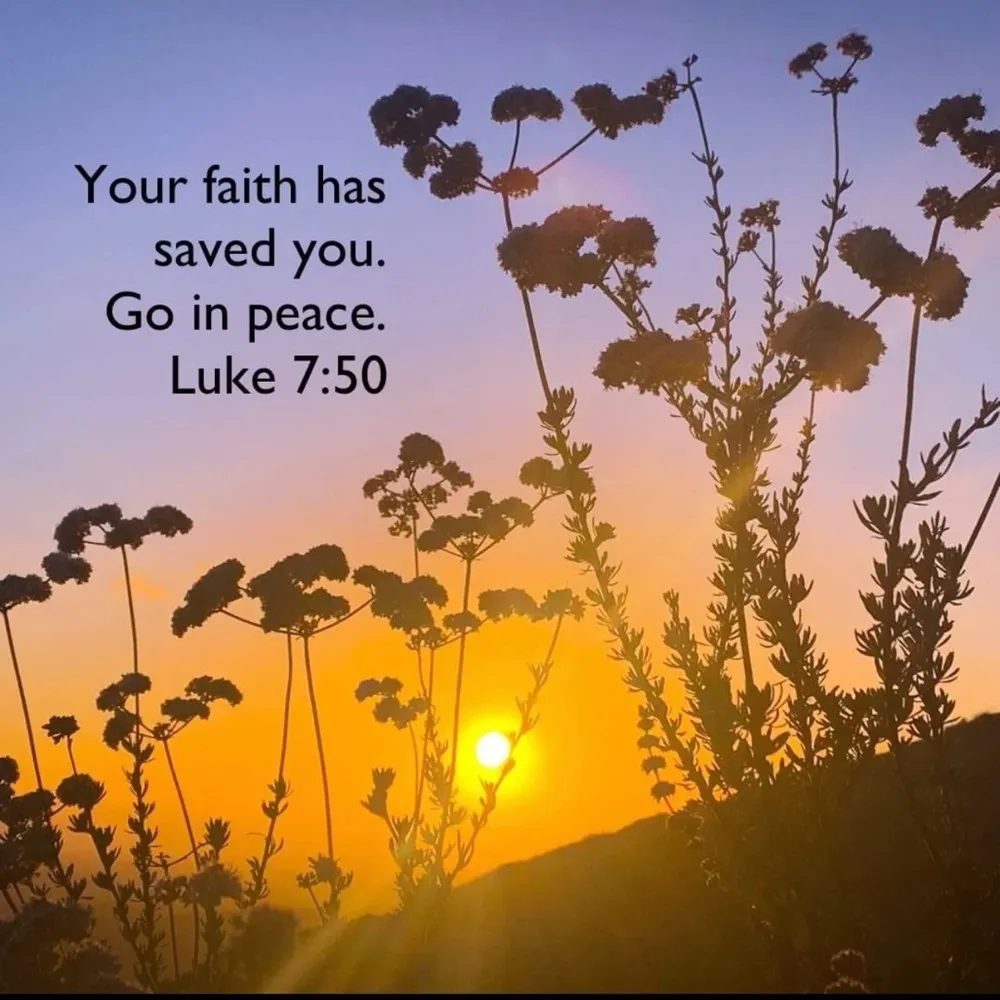 Free People Golden Hour Maxi Dress Peach Floral Spring Goddess Ethereal XS NEW - Image 10