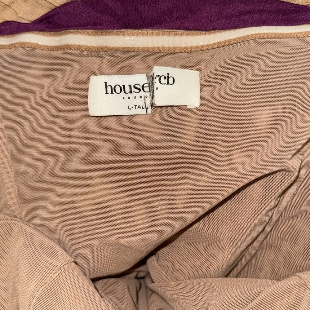 NWOT House of CB Sofie OMBRE MESH STRAPLESS MINI DRESS sz L Tall - Image 6