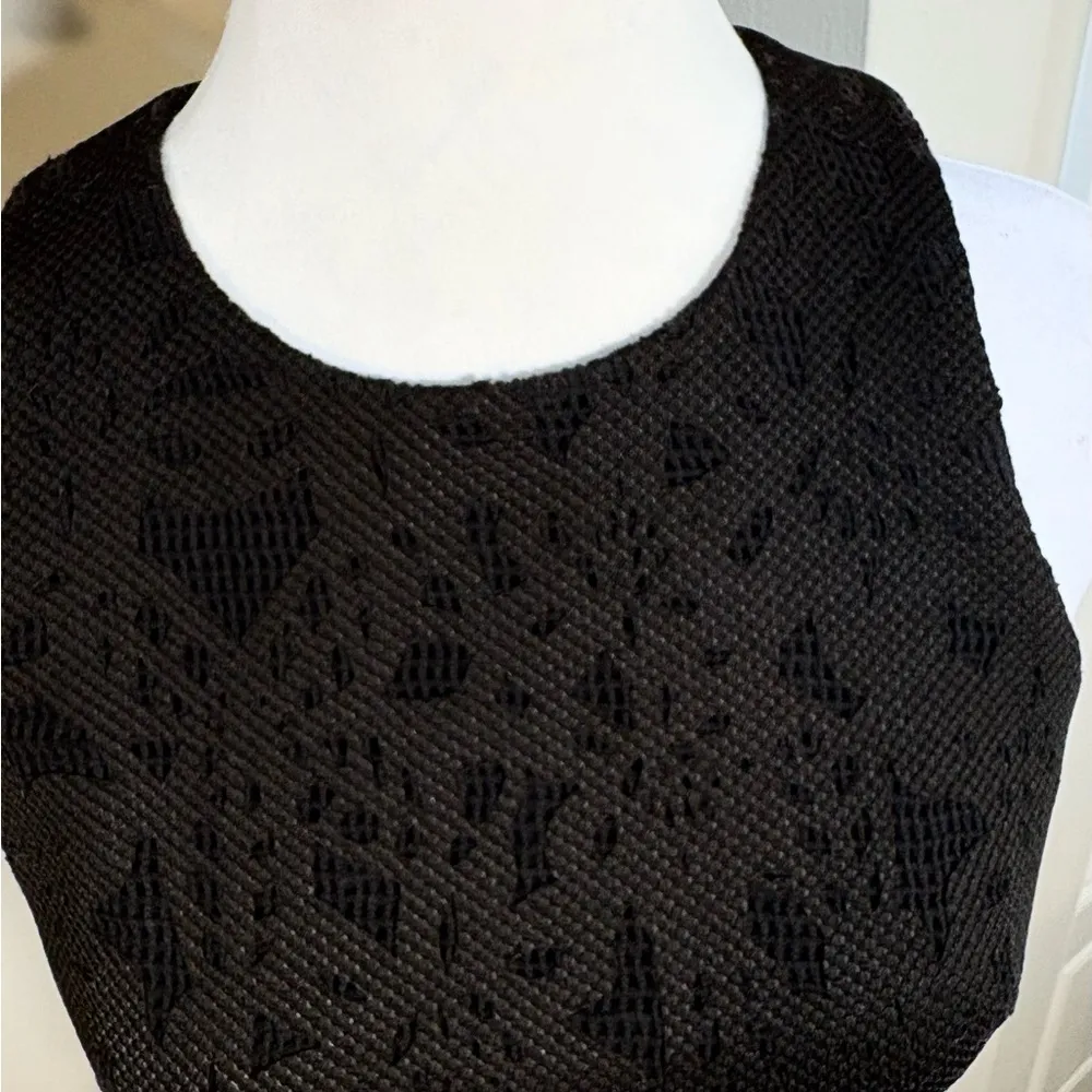 REBECCA TAYLOR  Black Eyelet Lace Sleeveless  Crop Top Womens Sz 2🧡 - Image 3