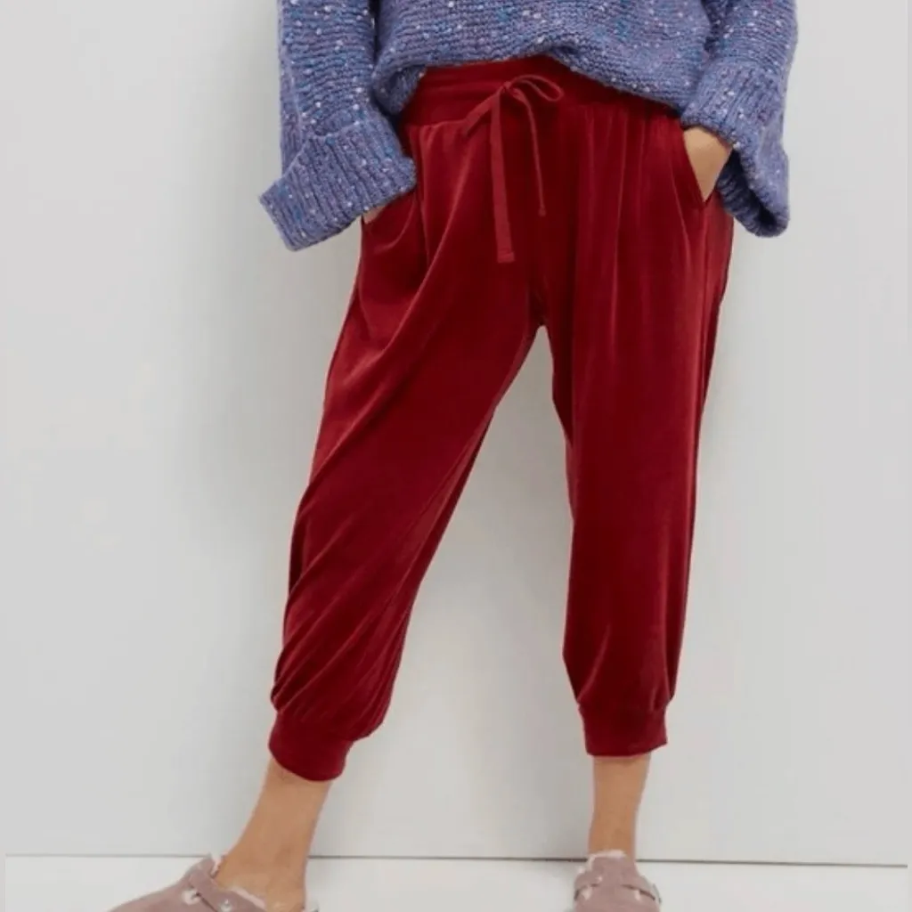 Anthropologie Saturday Sunday Women’s Merida Red Velour Joggers Size L - Image 2