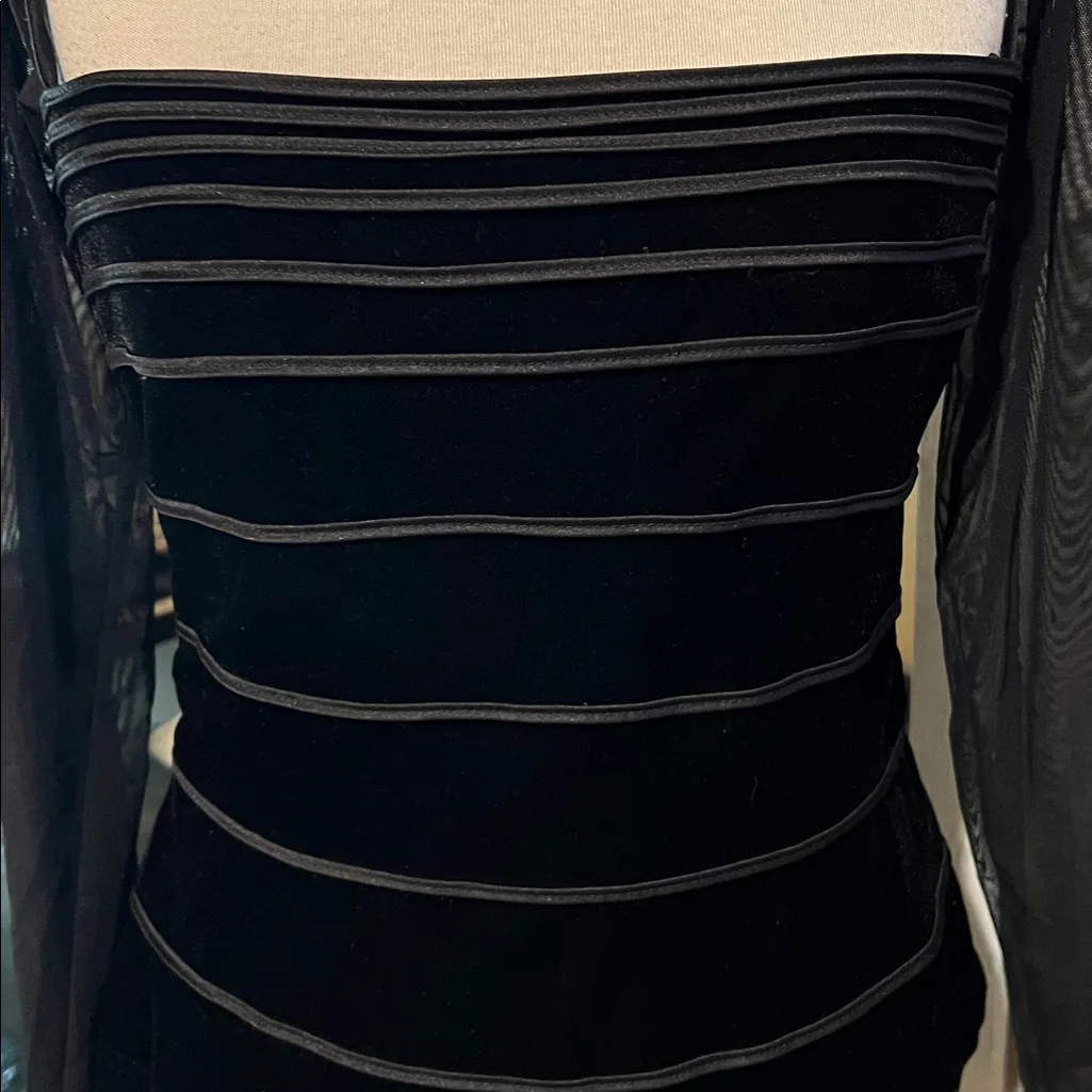 Vintage Tadashi velvet mesh sheer corset style size L - Image 3