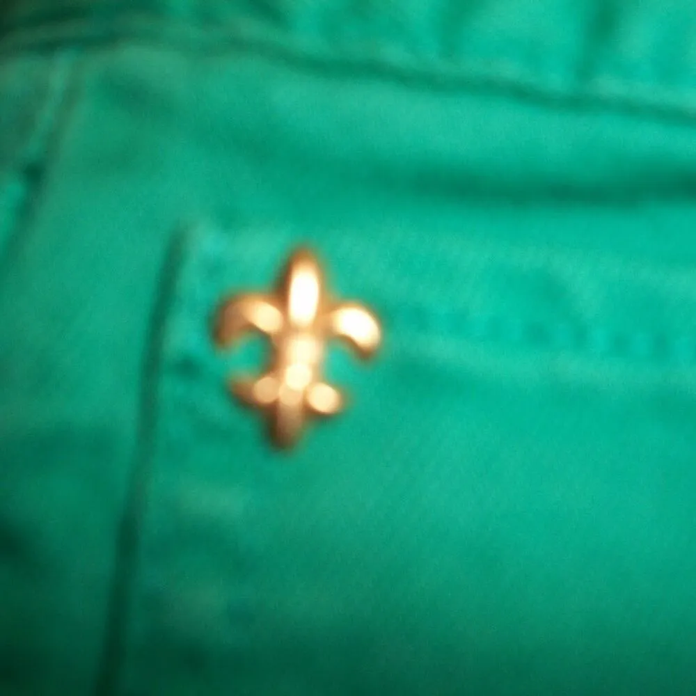 Cache Kelly Green Fleur De Lis Stud Embellished Slim Denim Jean Pant New $98 NWT - Image 4