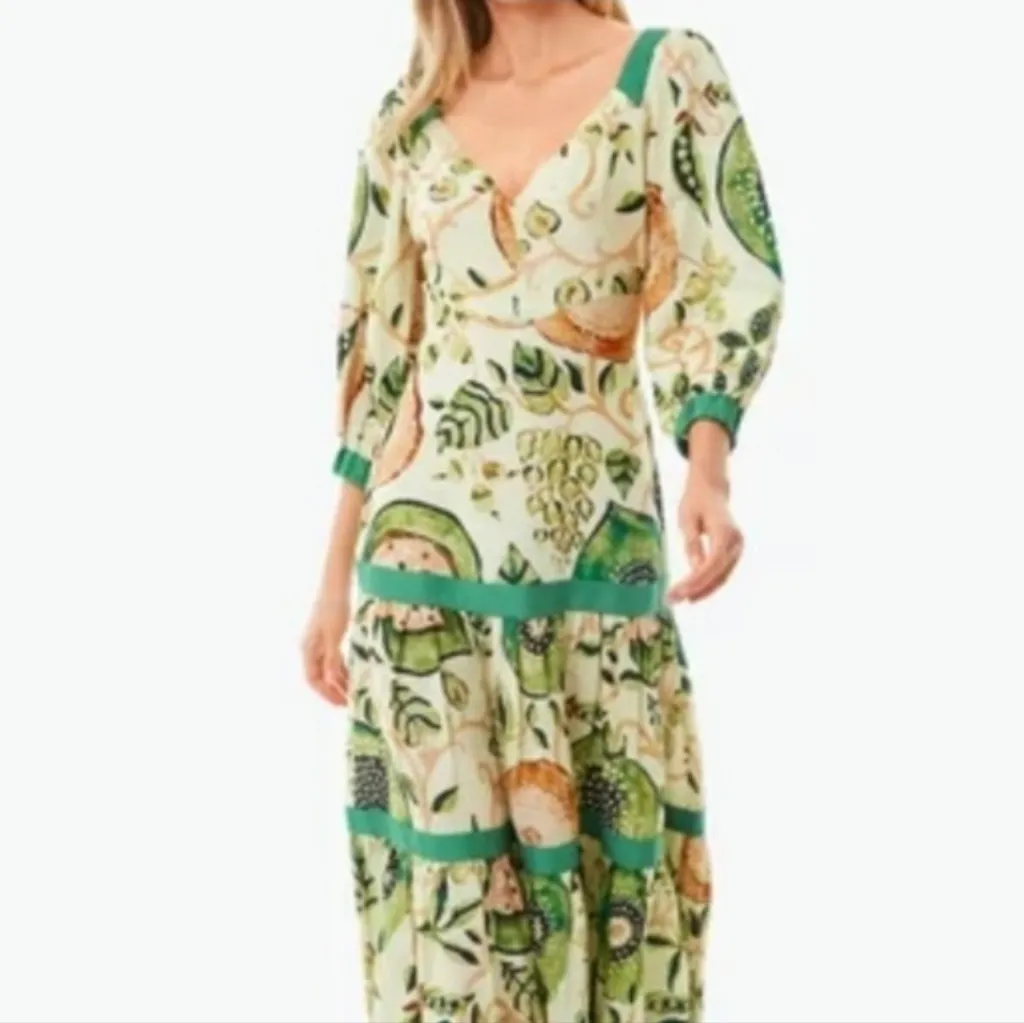 Alexis Pierah Midi Maxi Dress (Sz M) Linen Cotton Blend Jade Garden - Image 12