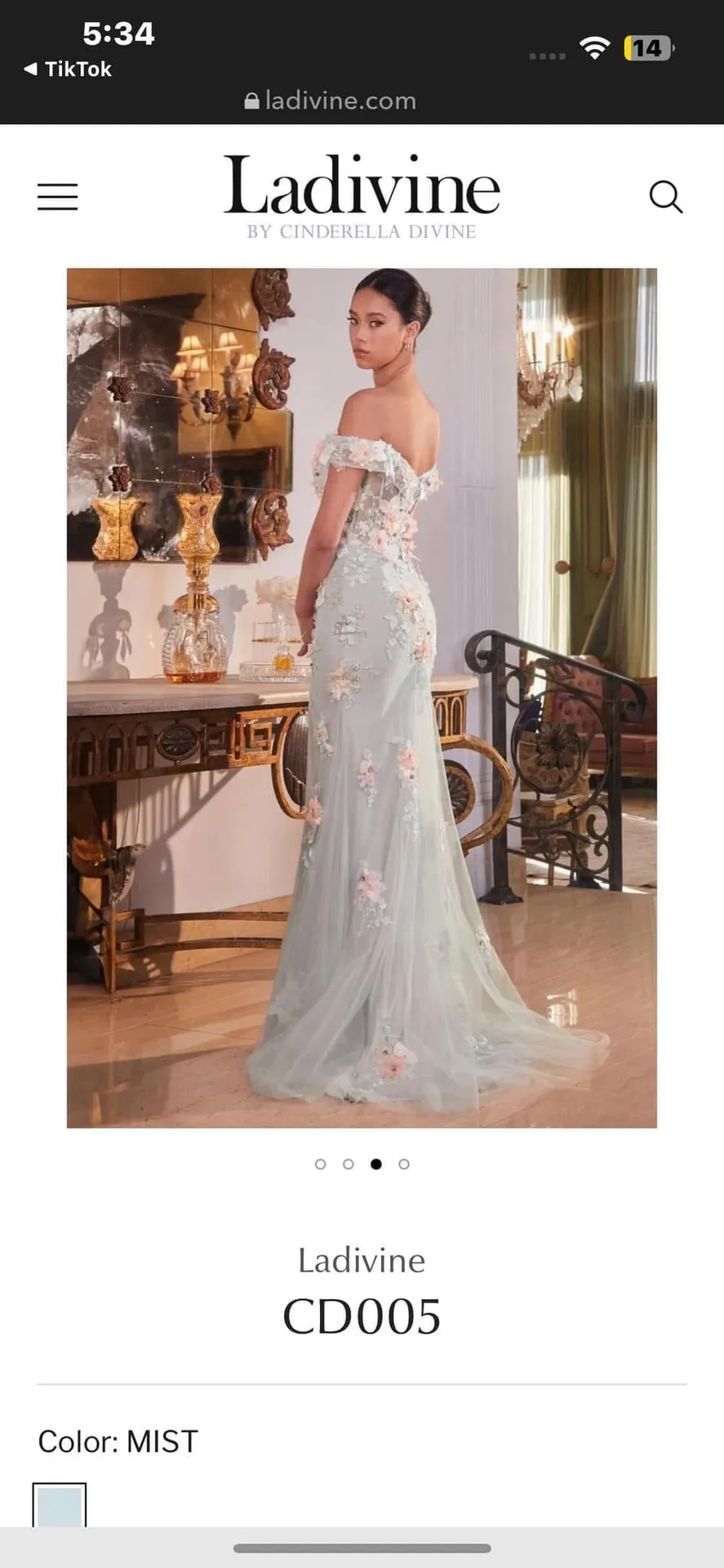 NWT Corset Off-Shoulder Floral Embellished Prom Dress - Image 12