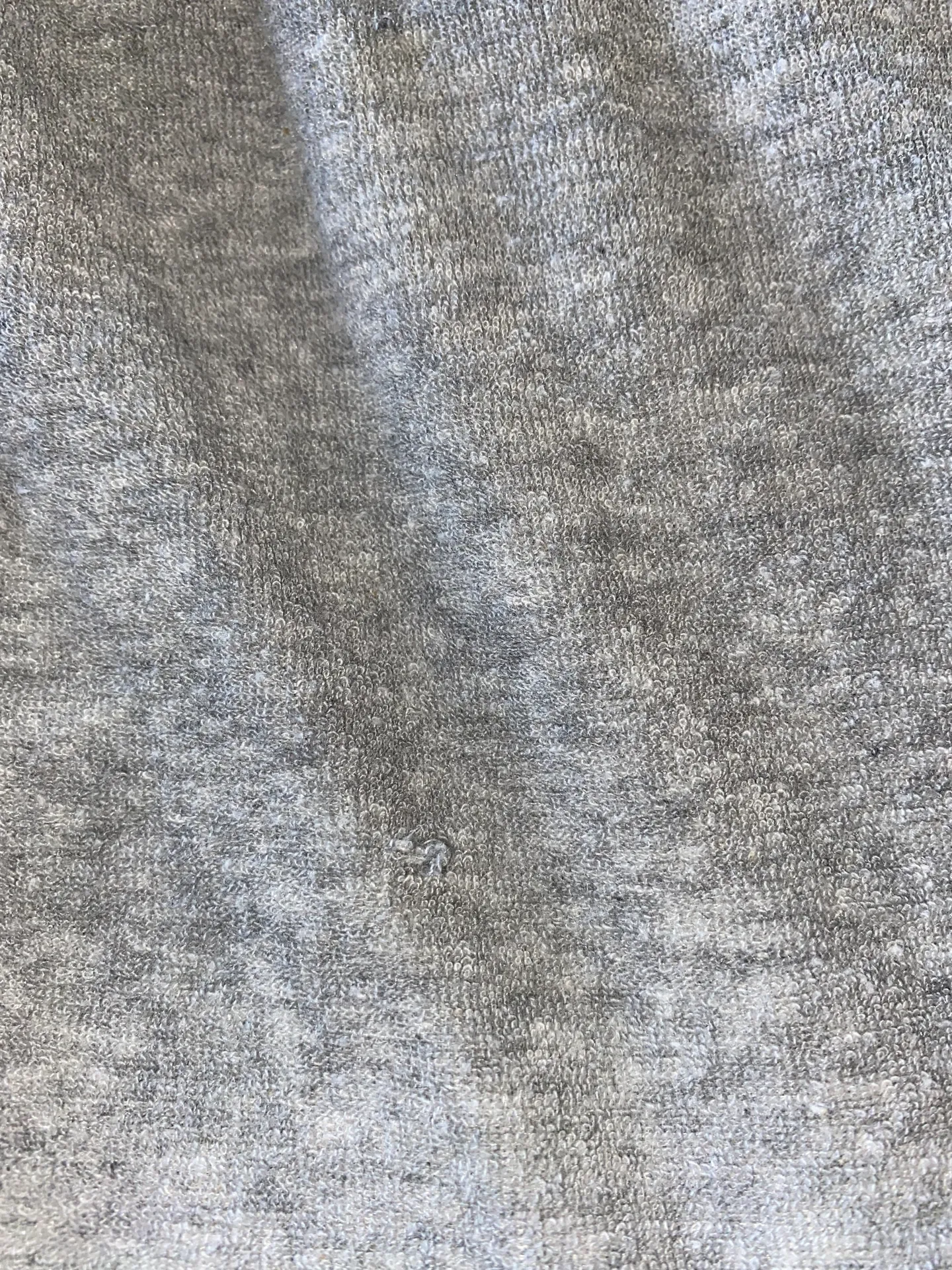 Bebe sweatshorts - Image 4