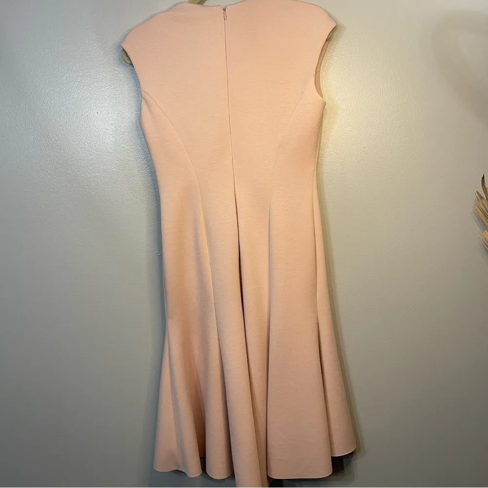 Elie Tahari Soft Pink Moriah A-line dress Size 4 - Image 5