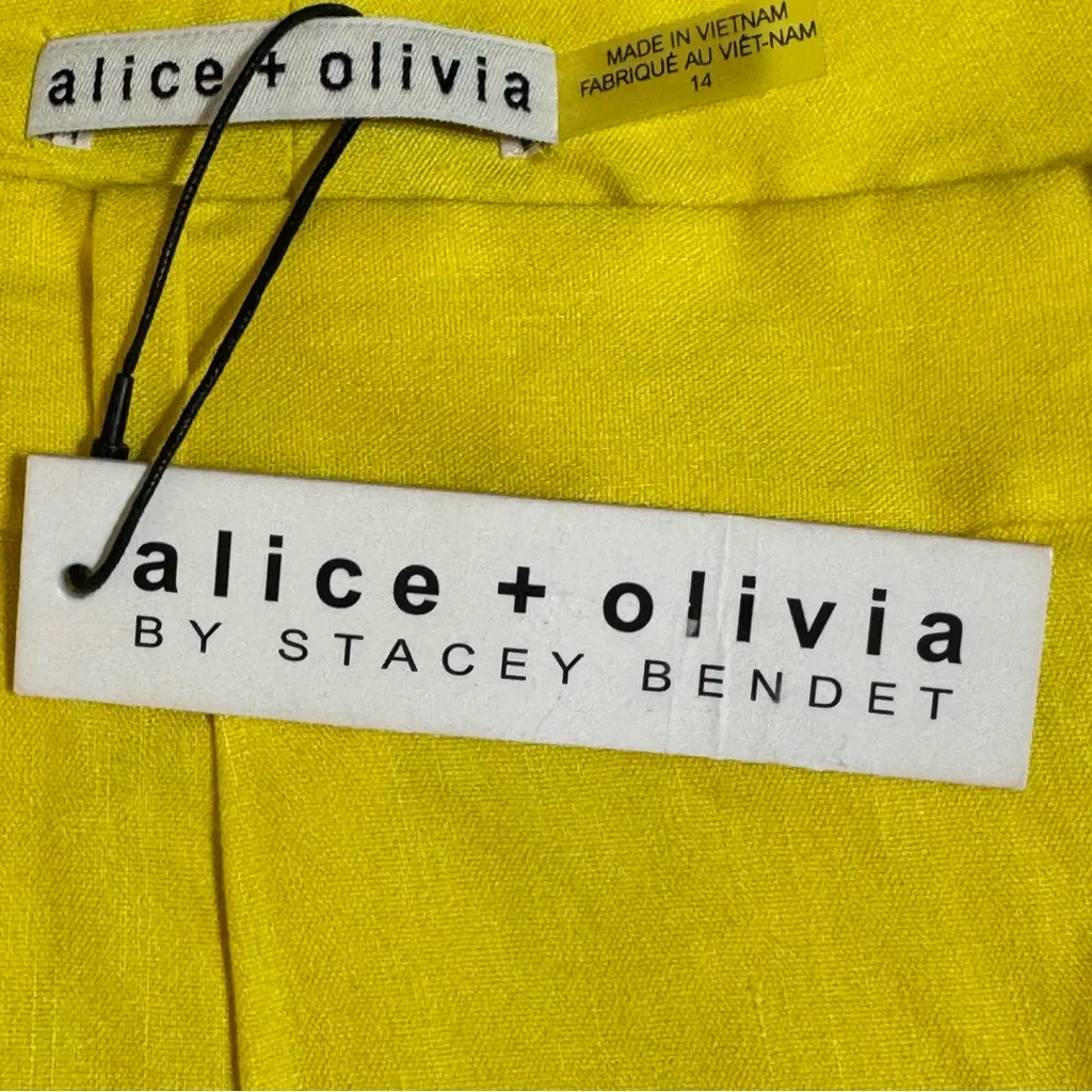 Alice + Olivia Conry Pleated Linen Blend Shorts - Image 12