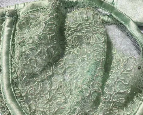 Rare Victoria’s Secret Swarovski Embedded Bra - Image 3