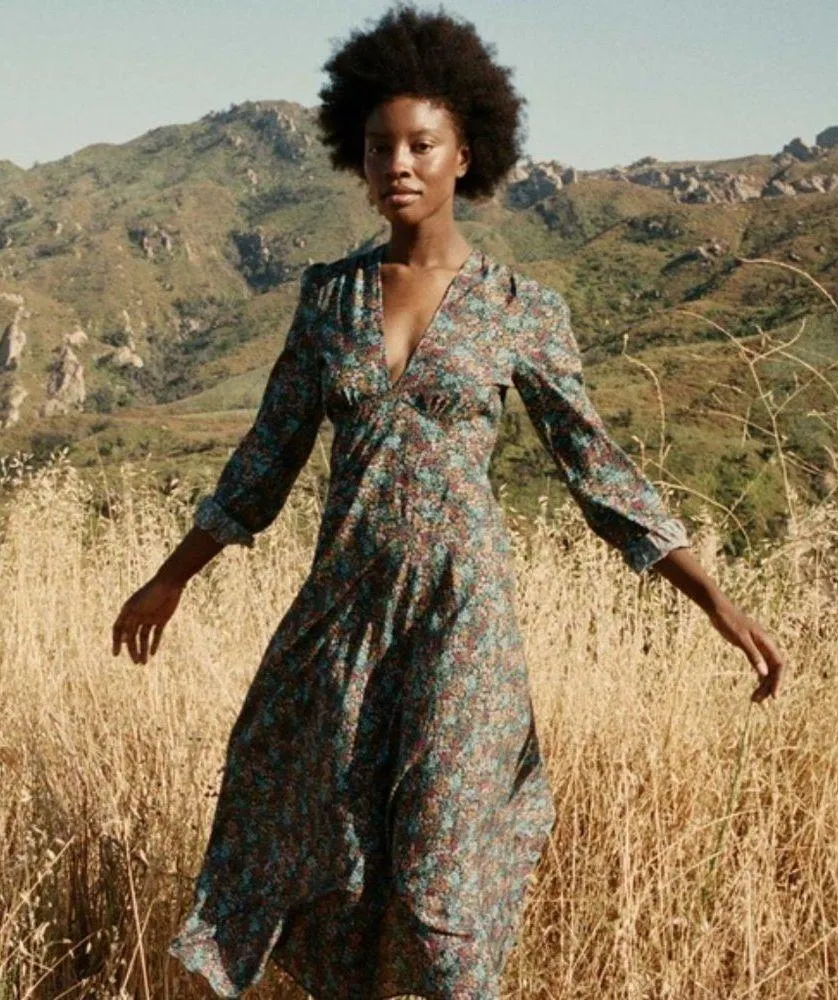 💕DOEN💕 Charleston Dress ~ Navy Lady Bird Floral Long Sleeve Cotton XS NWT - Image 4