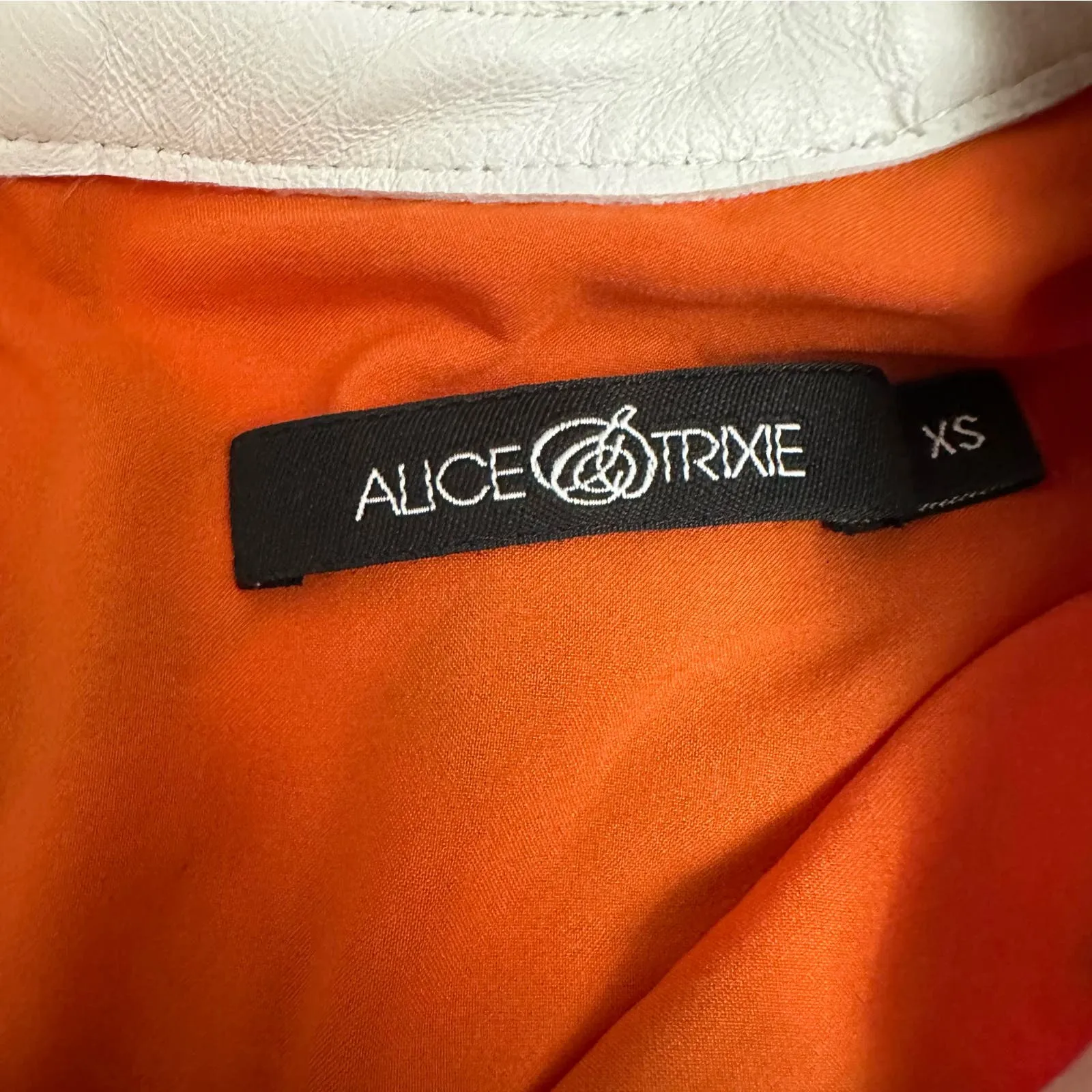 Alice & Trixie Silk dress with leather trim‎ Size XS - Image 2