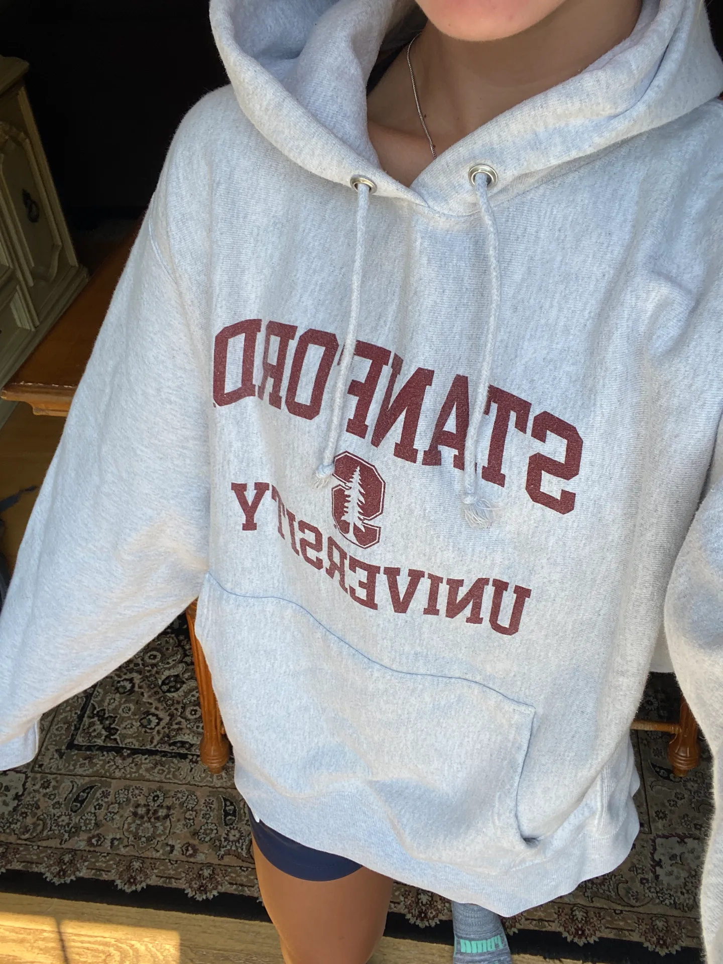 Champion Stanford Hoodie - Image 2