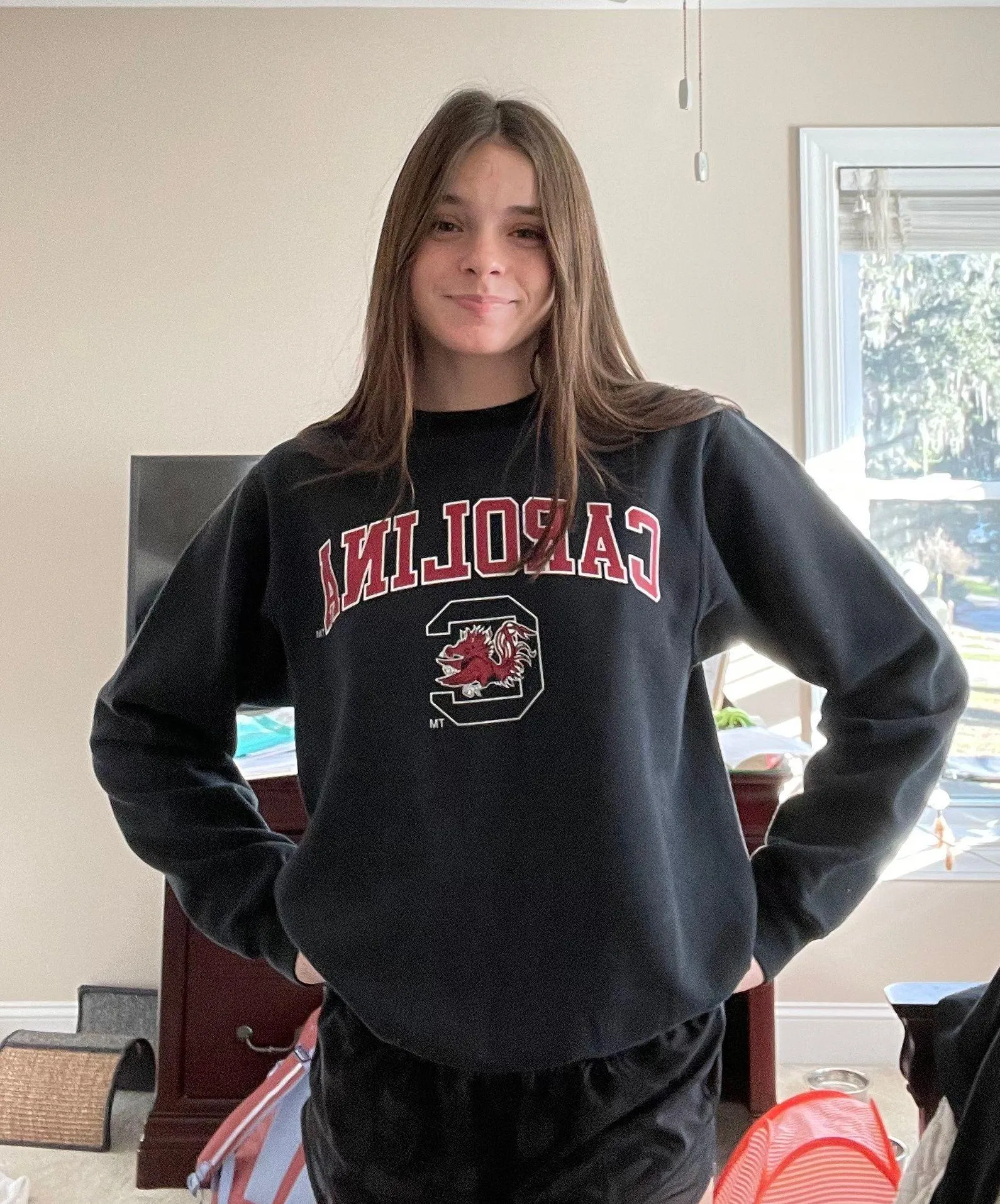 usc gamecocks sweatshirt Black - Image 3