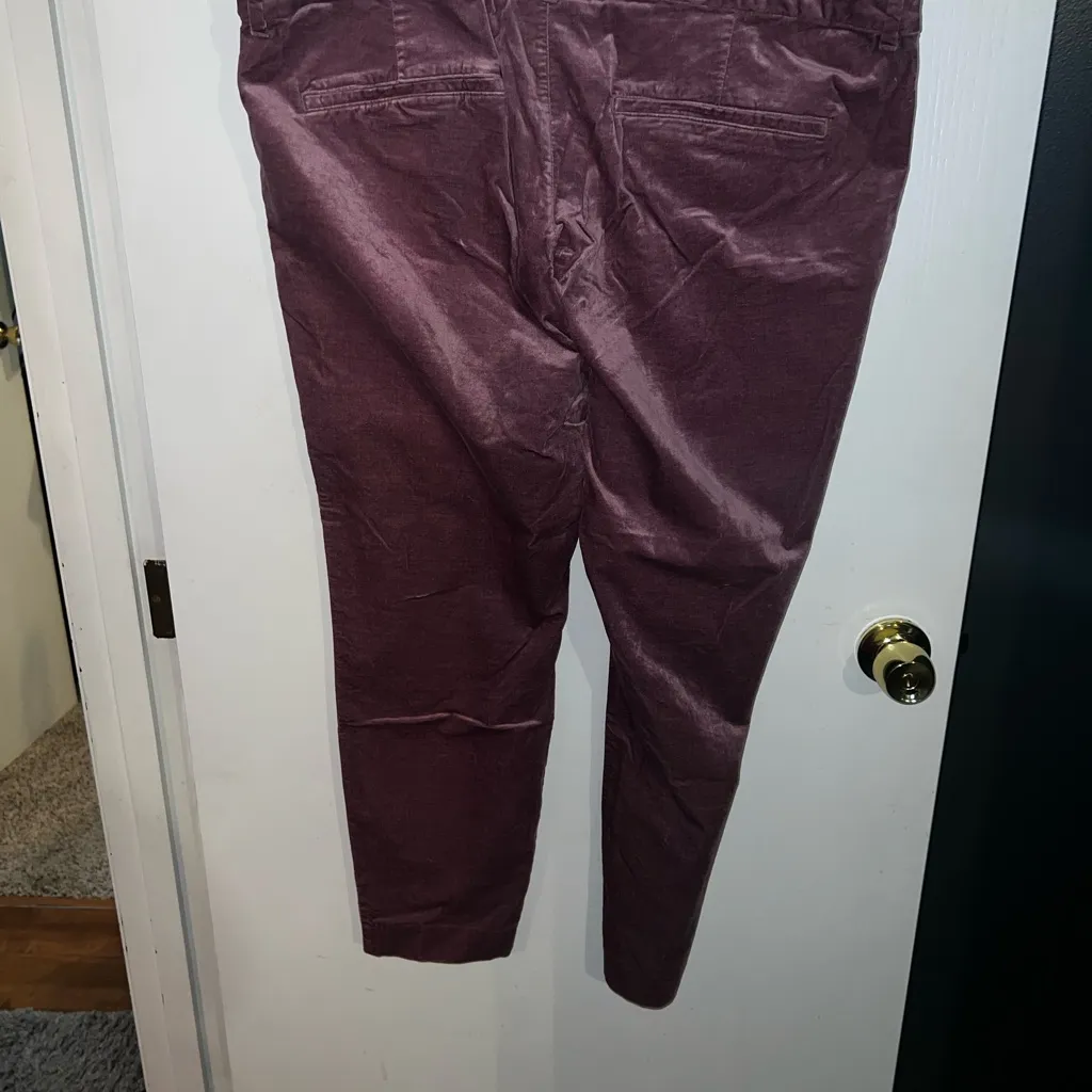 Old Navy Pixie Ankle Pants in Plum - Image 4