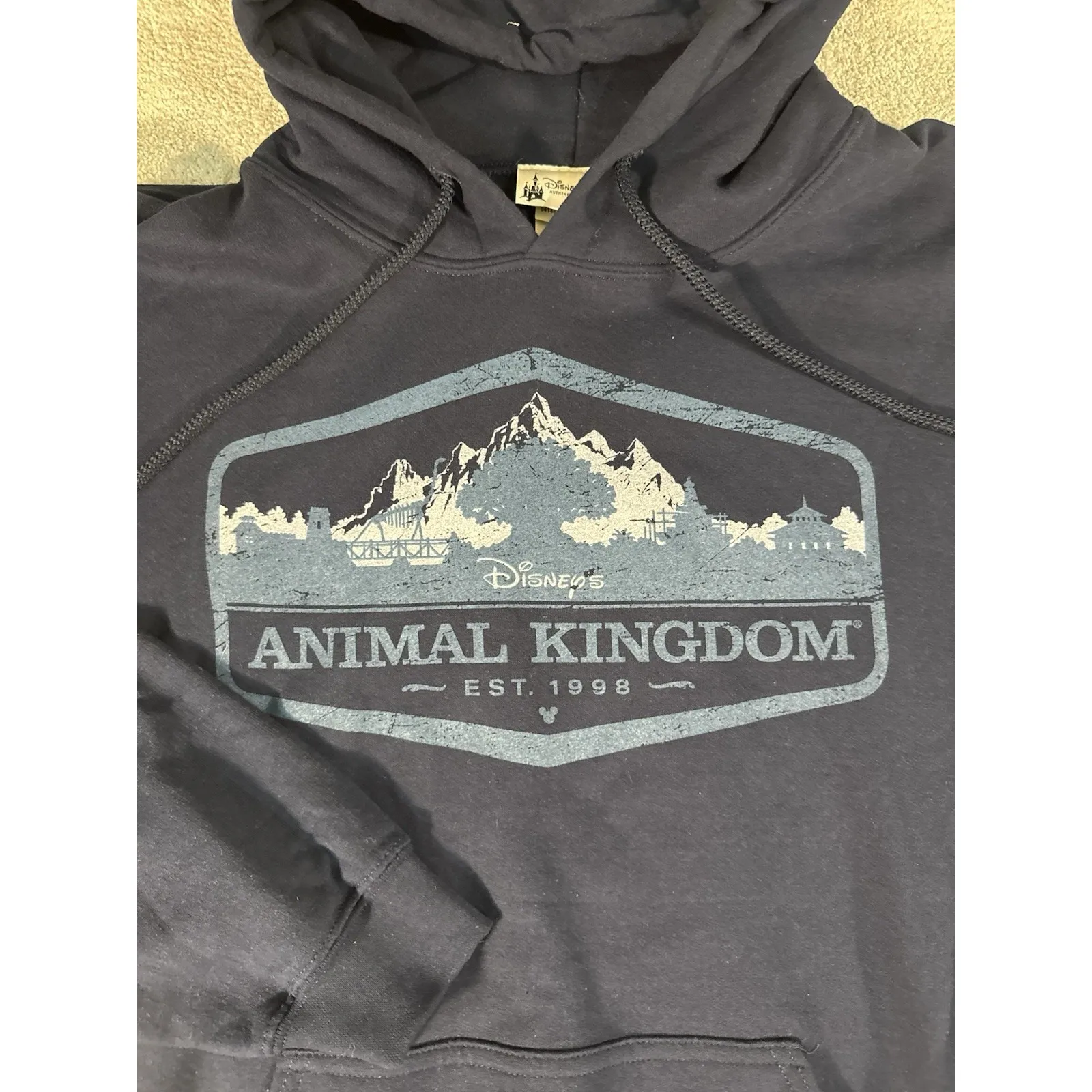 Disney Parks‎ Animal Kingdom~blue Hooded Sweatshirt Hoodie~Adult Size Large - Image 2