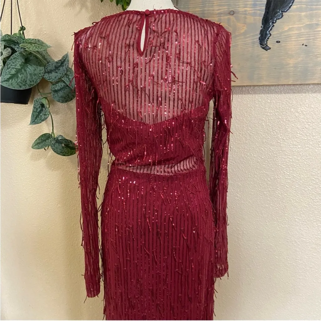 Sheer Fascination Burgundy Sheer Mesh Sequin Fringe Maxi Dress - Image 8