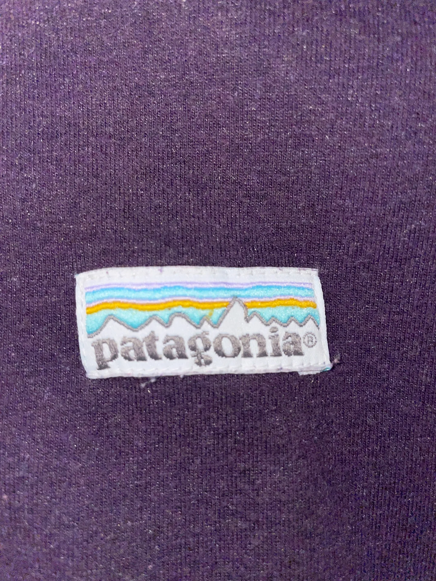 Patagonia Crewneck - Image 2