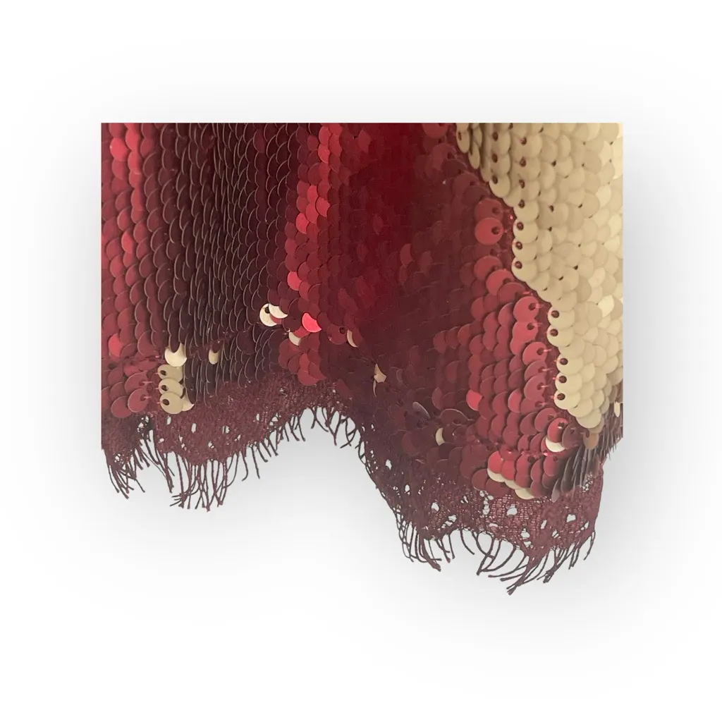 Free People ❤︎︎ Seeing Double Eyelash Lace Sequin Slip Dress ❤︎︎ Red Latte ❤︎︎ M - Image 11