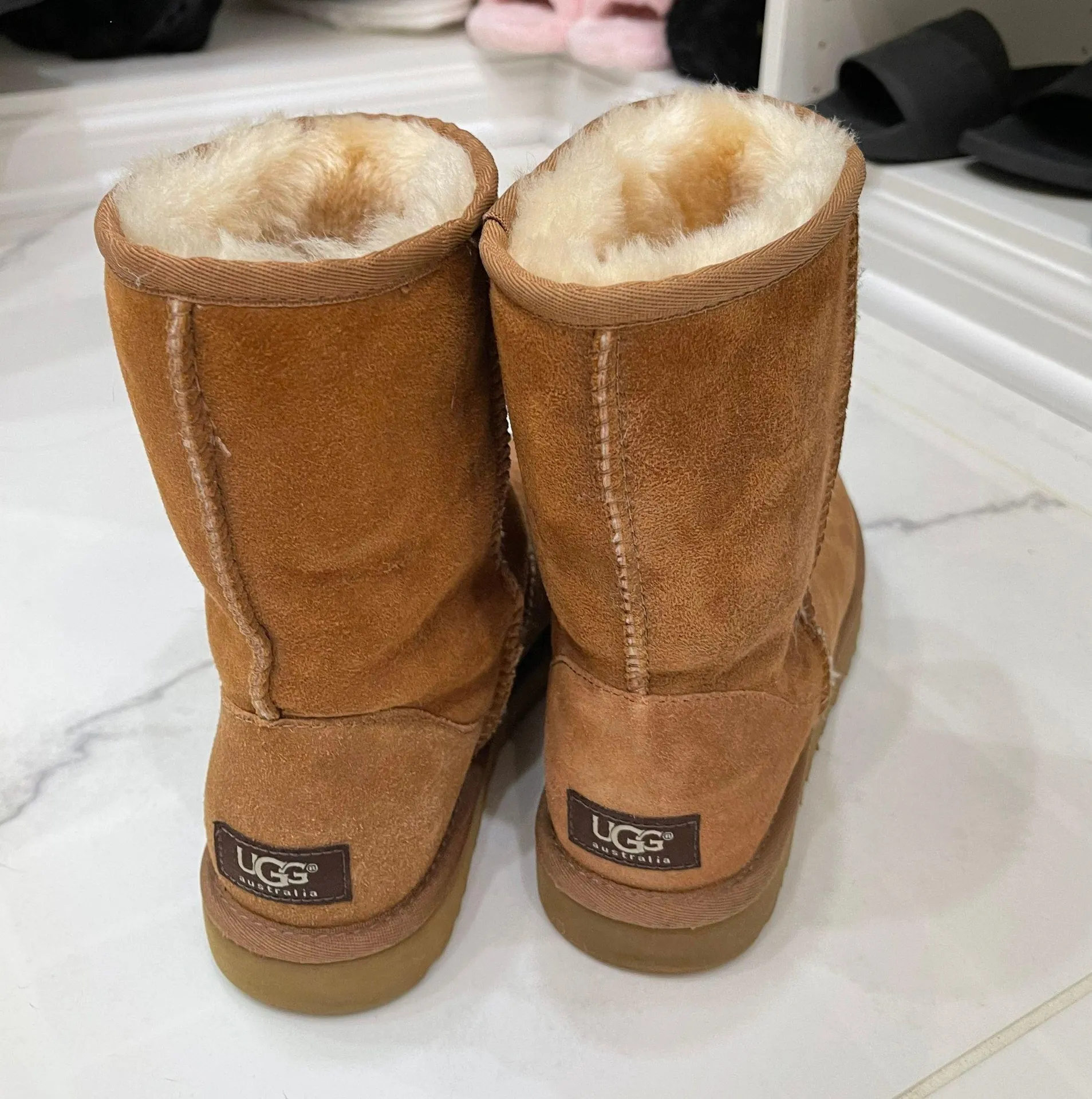 UGG Short Chestnut - Image 4