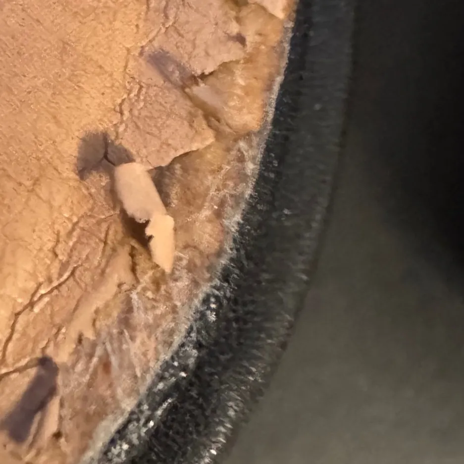 Anthropologie Bettye Muller Womens Black Leather SlipOn Tassle Mules sz 6 Preppy - Image 12