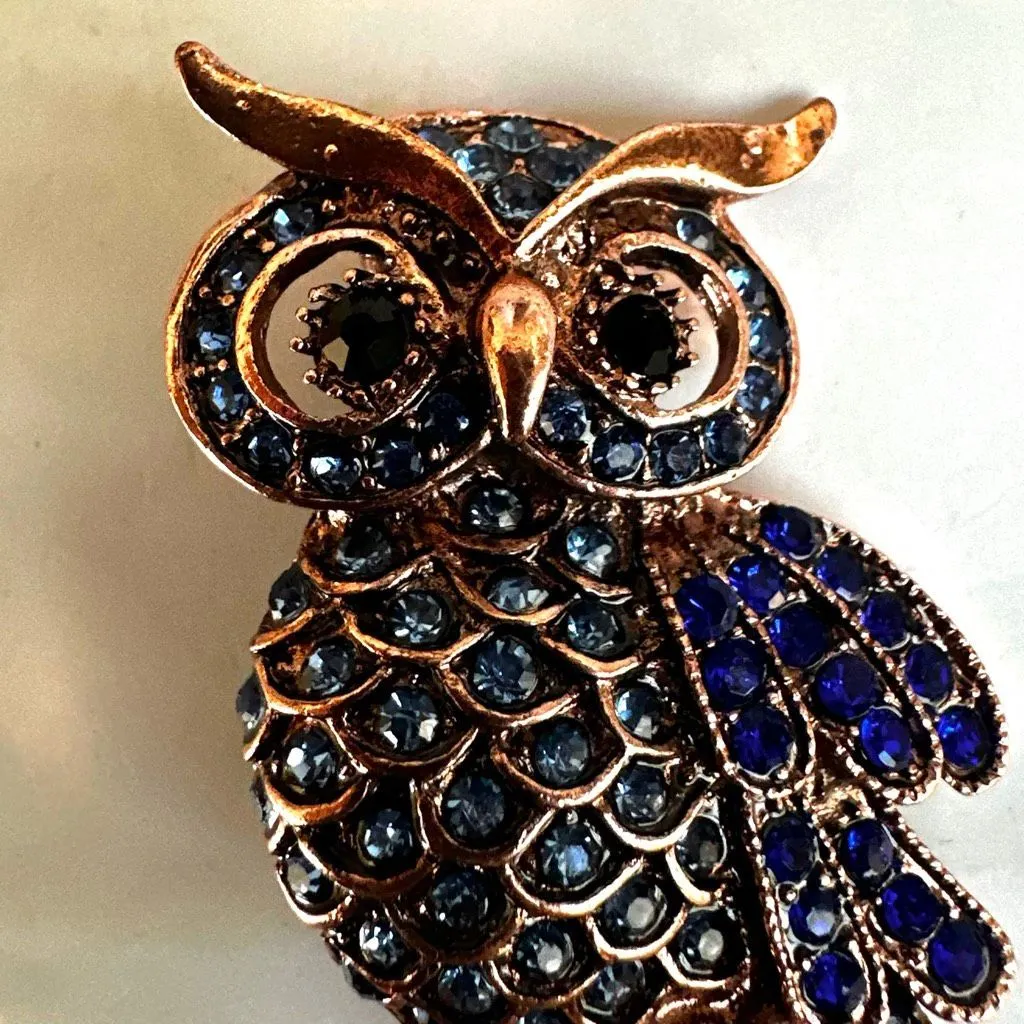 Blue Rhinestone Owl Brooch - Image 5