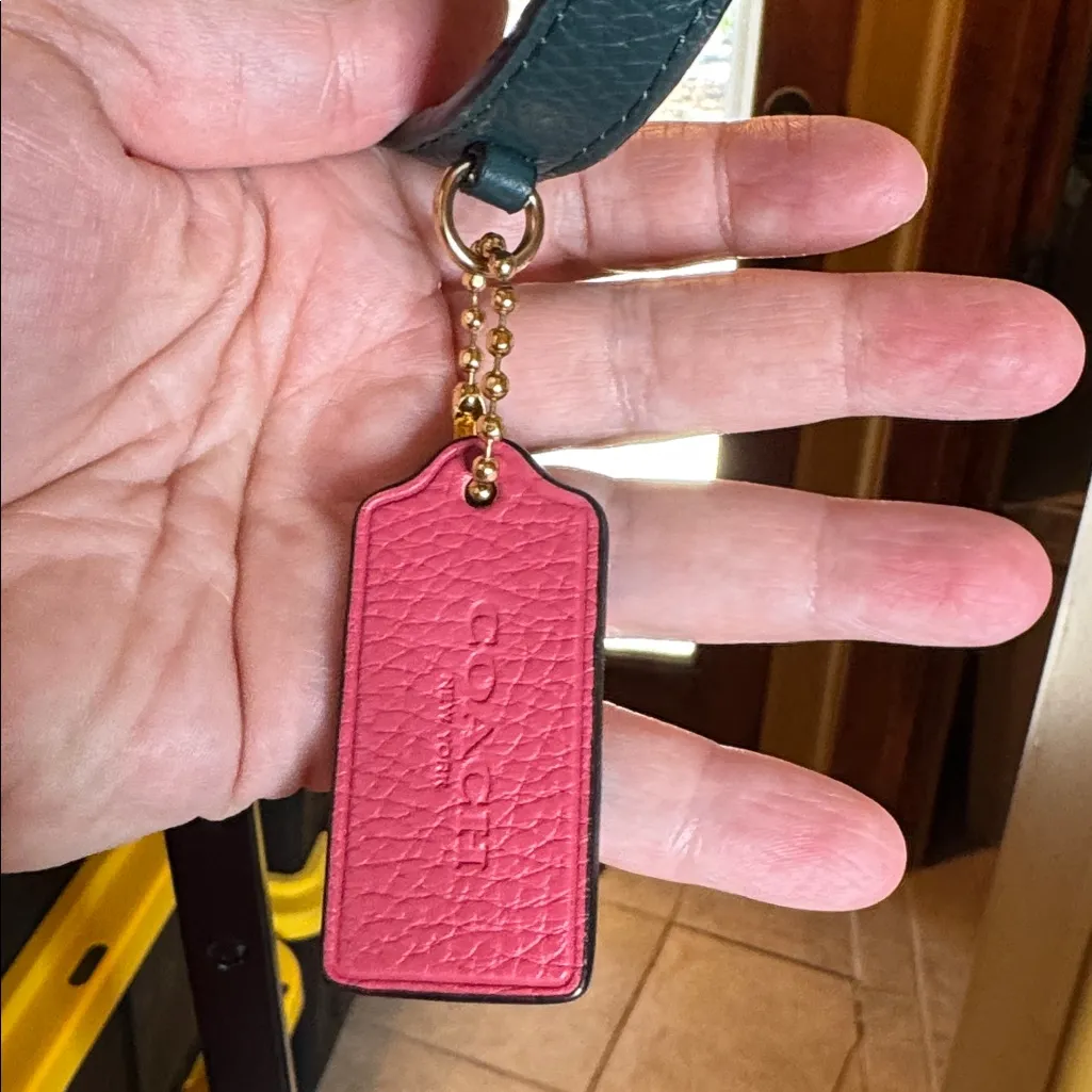 NWOT Coach Pennie Backpack 22” Colorblock Sport Blue Multi - Image 6