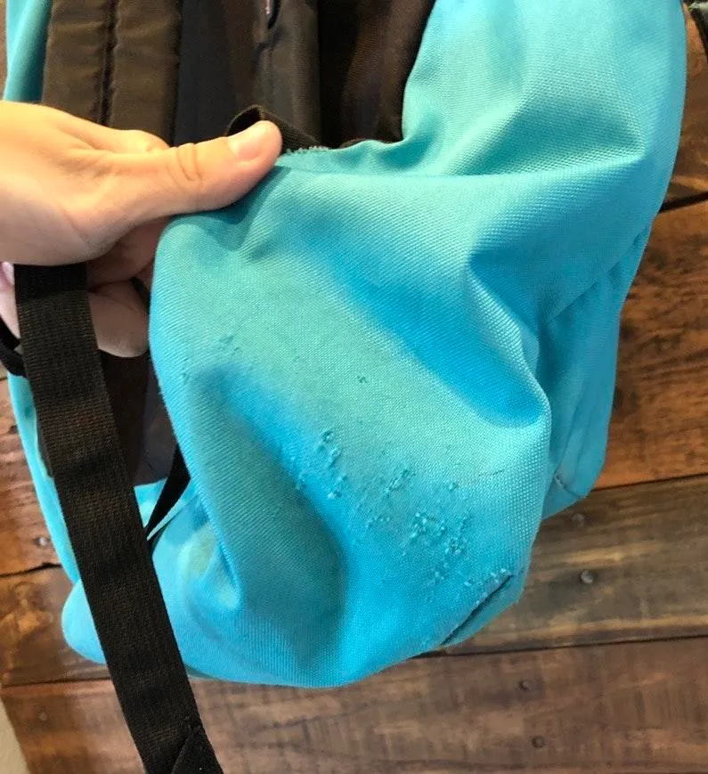 Jansport Turquoise Backpack - Image 6