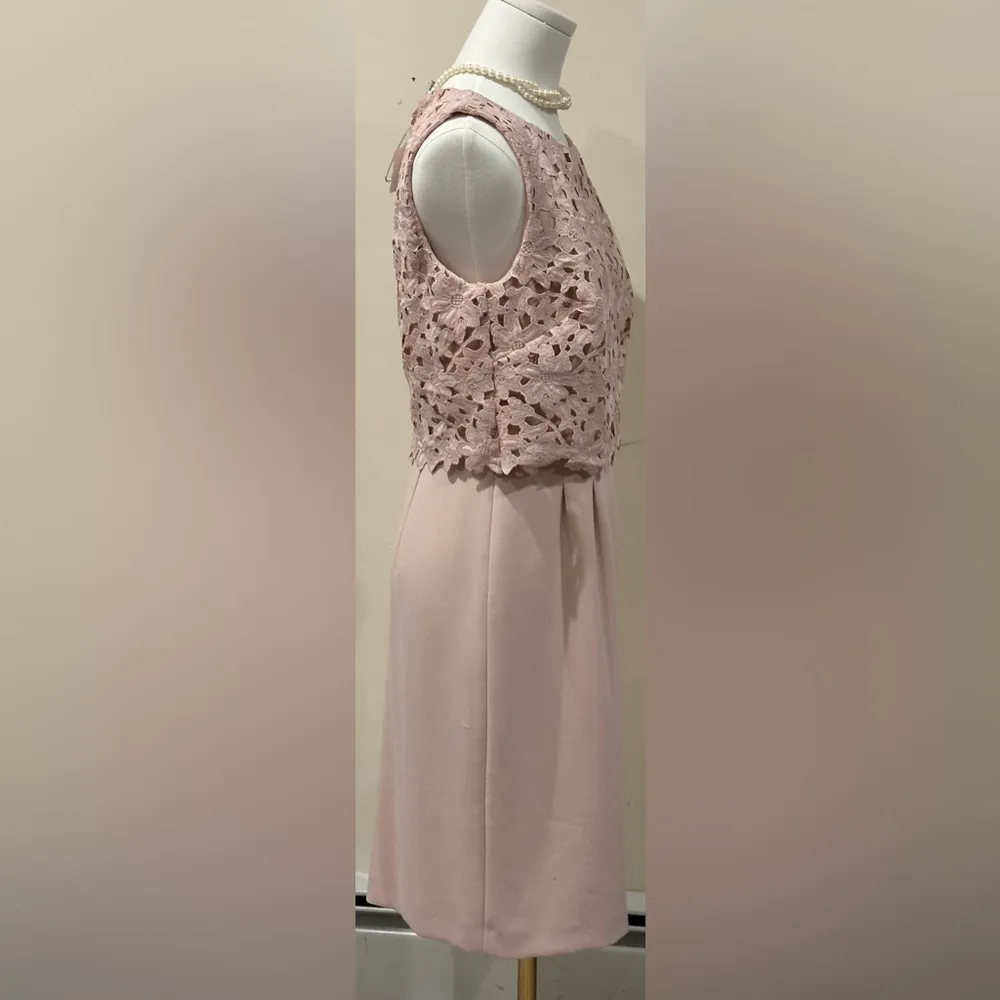 Tahari Arthur S Levine Light Pink Midi Pleated Dress Floral Lace Embroidered Sz4 - Image 5