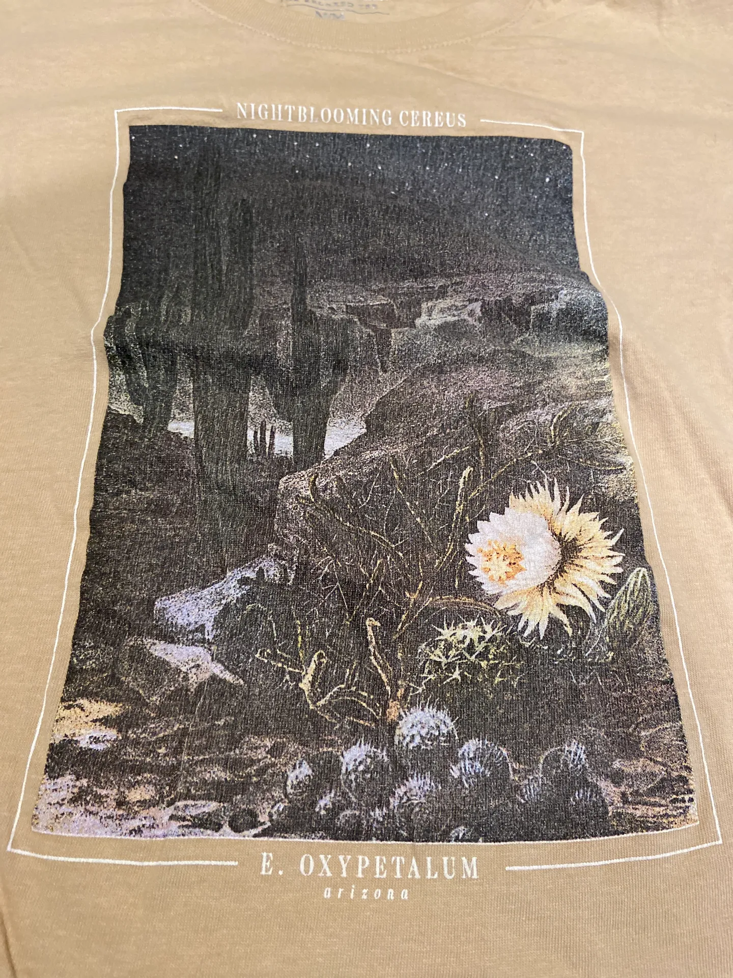 Cotton On Relaxed Tee - Image 2