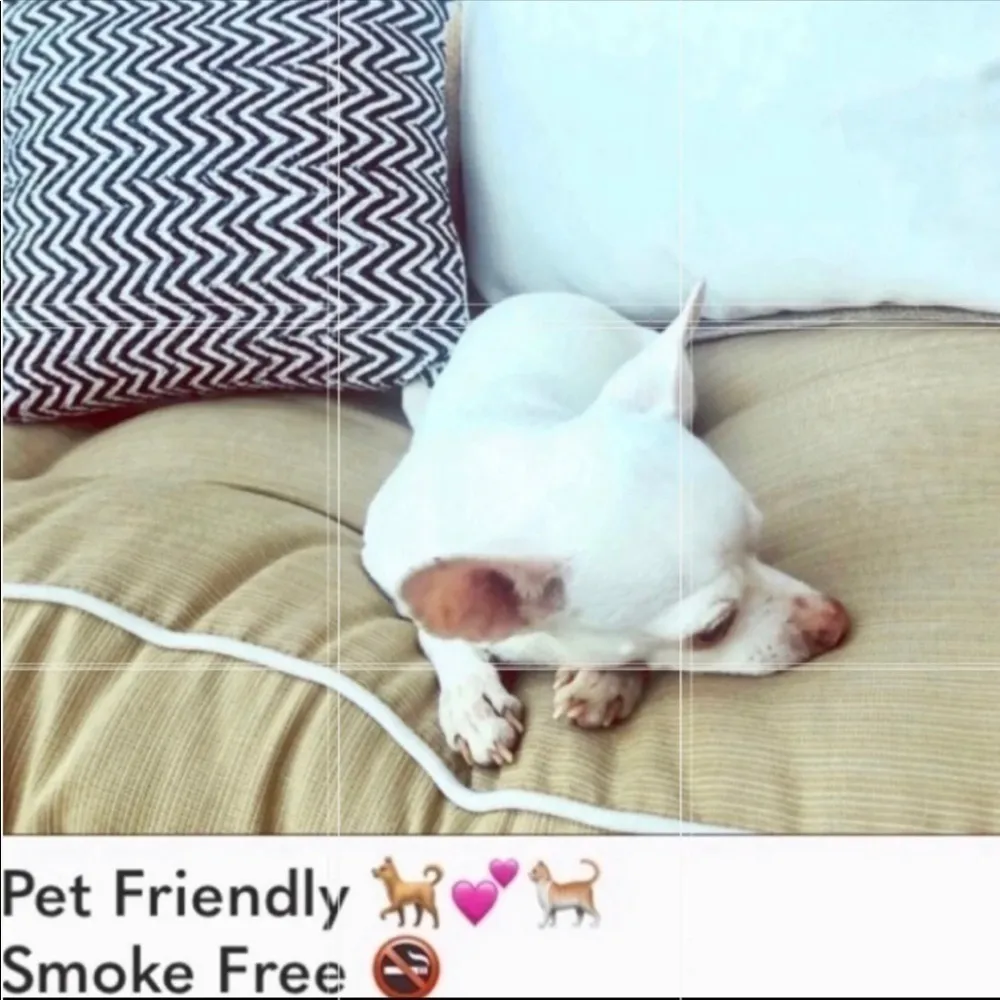 RIO Beach Argentina Baby Blue Gingham Bikini Size undefined - Image 6