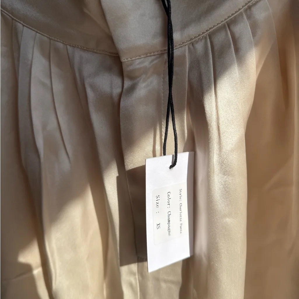 Nonchalant Label XS champagne pants NWT - Image 4