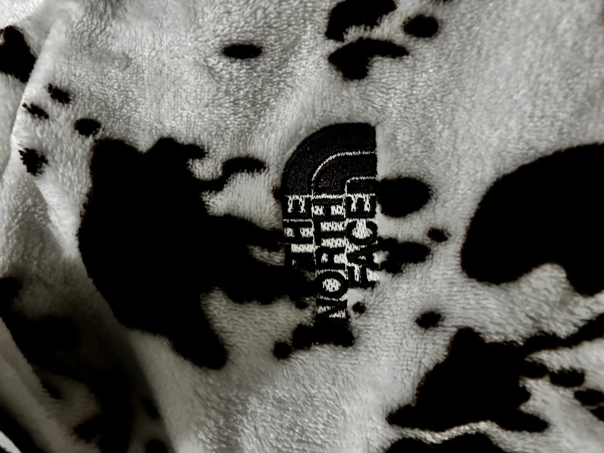 North Face Jacket - Image 3