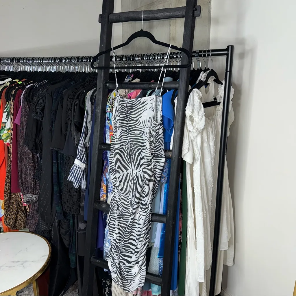 Lioness Mesh Zebra Print Mini Dress in Black White - Image 6