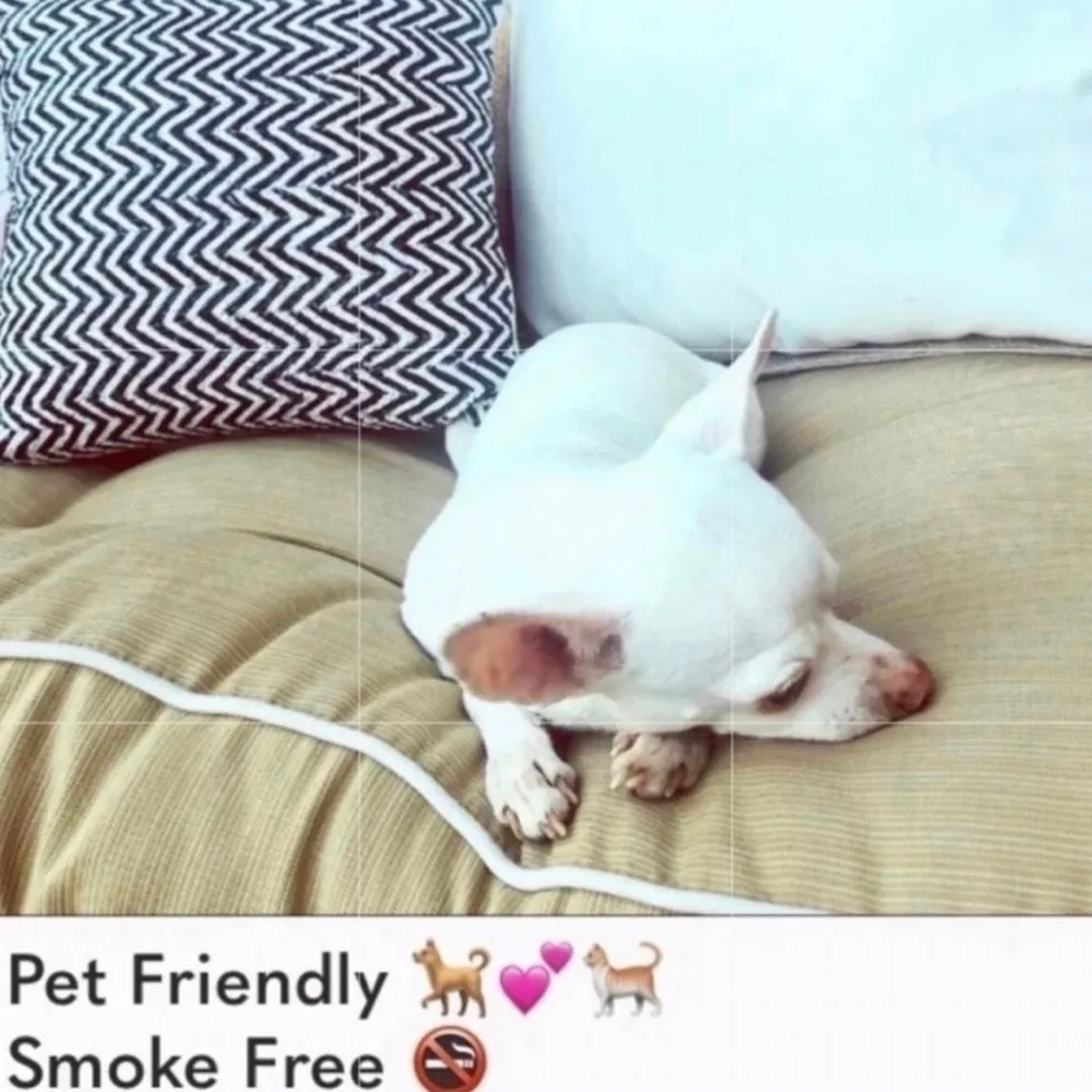 NWOT Volcom 💕 Alienated Youth Racerback bikini top - Image 8