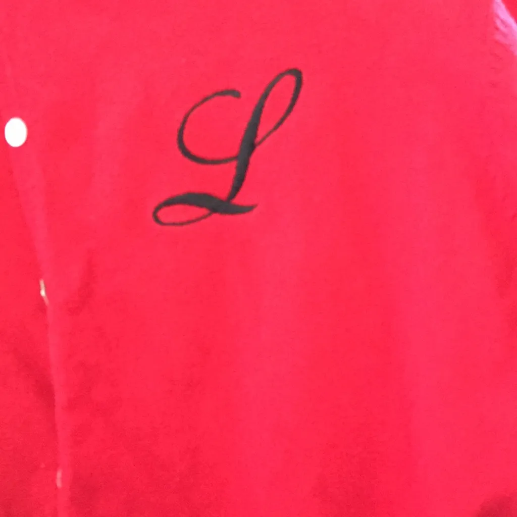 Carolyn Taylor FINAL MARKDOWN  letter l sweater medium - Image 2