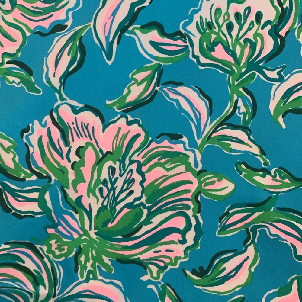 Lilly Pulitzer  Flamenco One Piece Swimsuit Size 4 Blue Pink  Removable Straps - Image 12