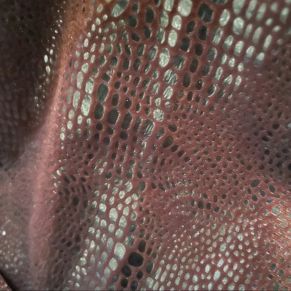 Dina Bar - Image 9