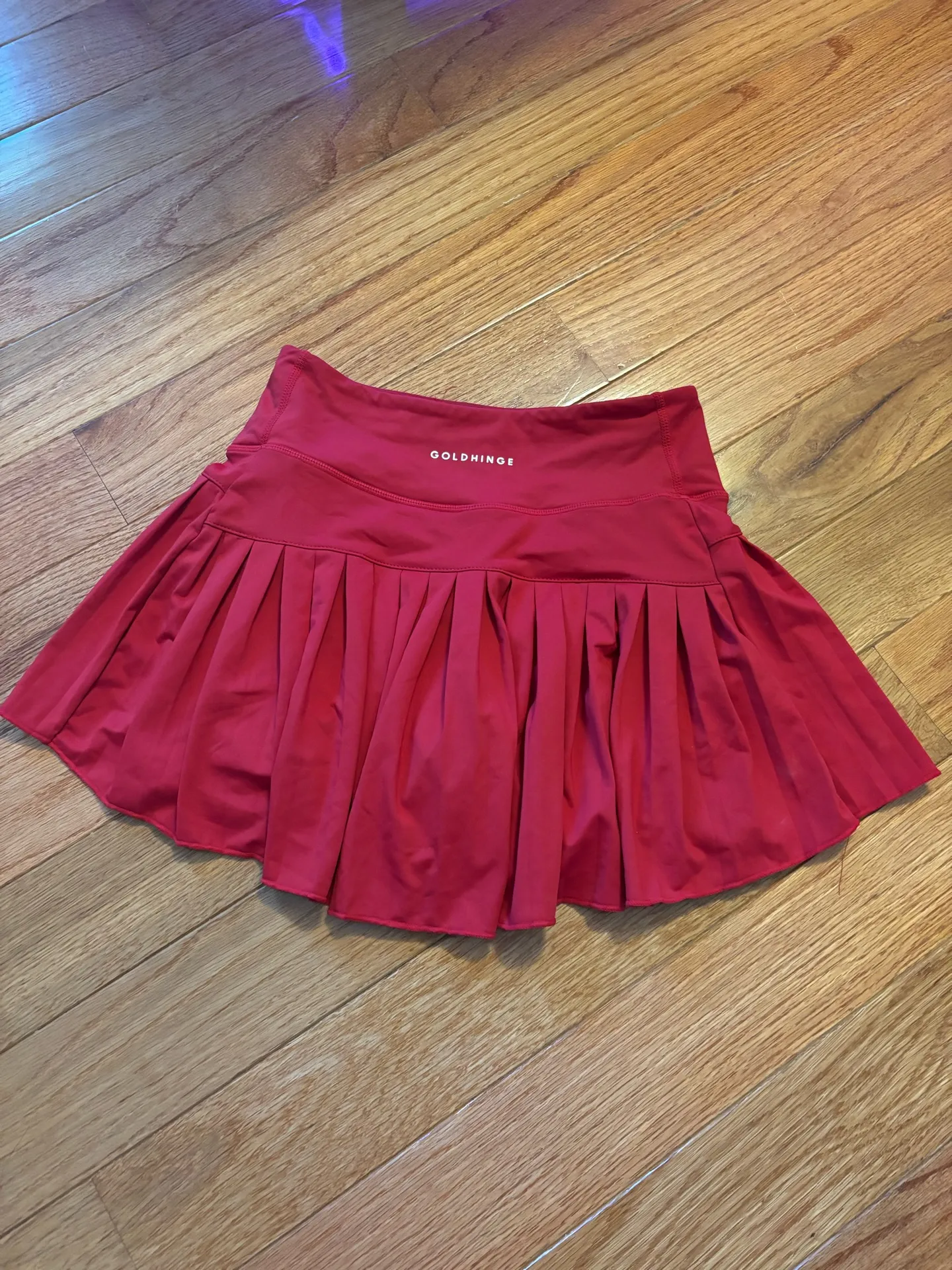 Gold Hinge Skirt - Image 2