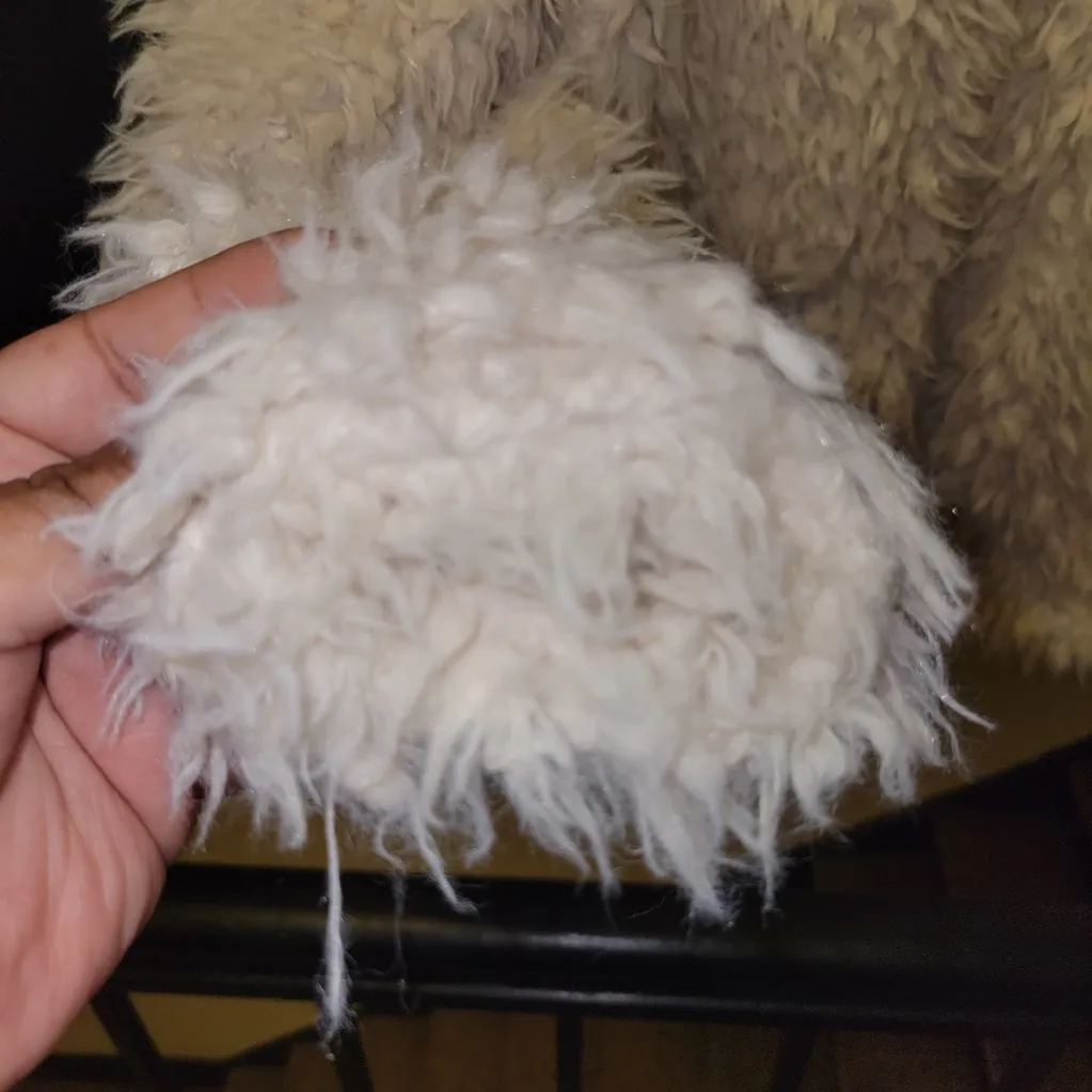 Free People Off-White Teddy Jacket - Image 13